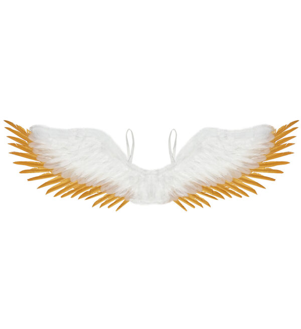 Federflügel weiß-gold 100x25 cm