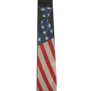 Satin Krawatte USA